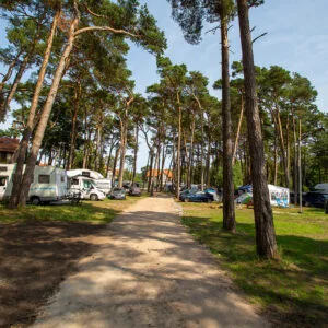 campersystem-6089