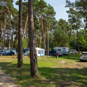 campersystem-6092